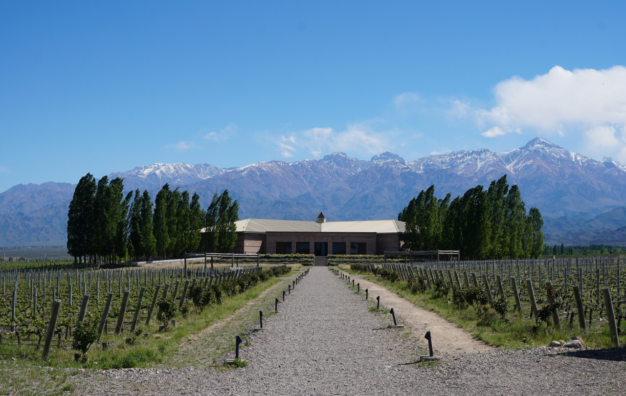 Mendoza. Foto: Unsplash