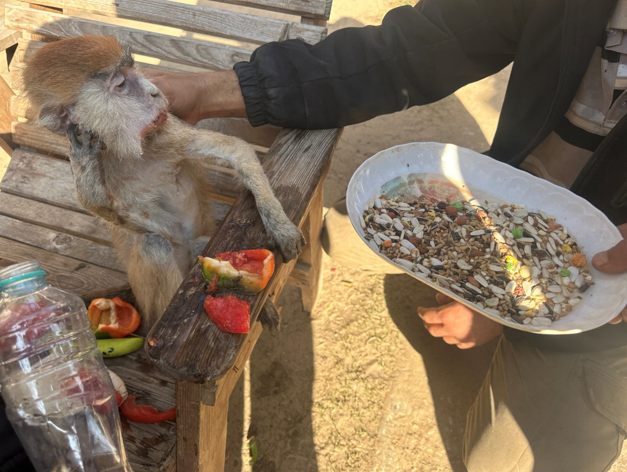 Zoológico de Rafah. Foto: Reuters.