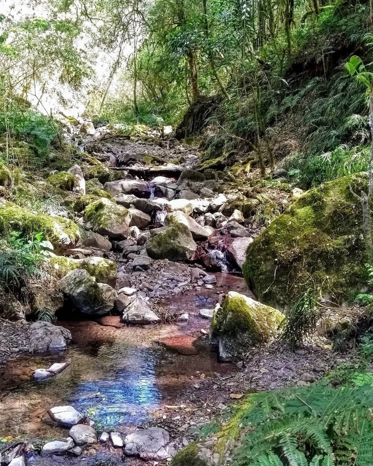 Quebrada de San Lorenzo. Foto Instagram.