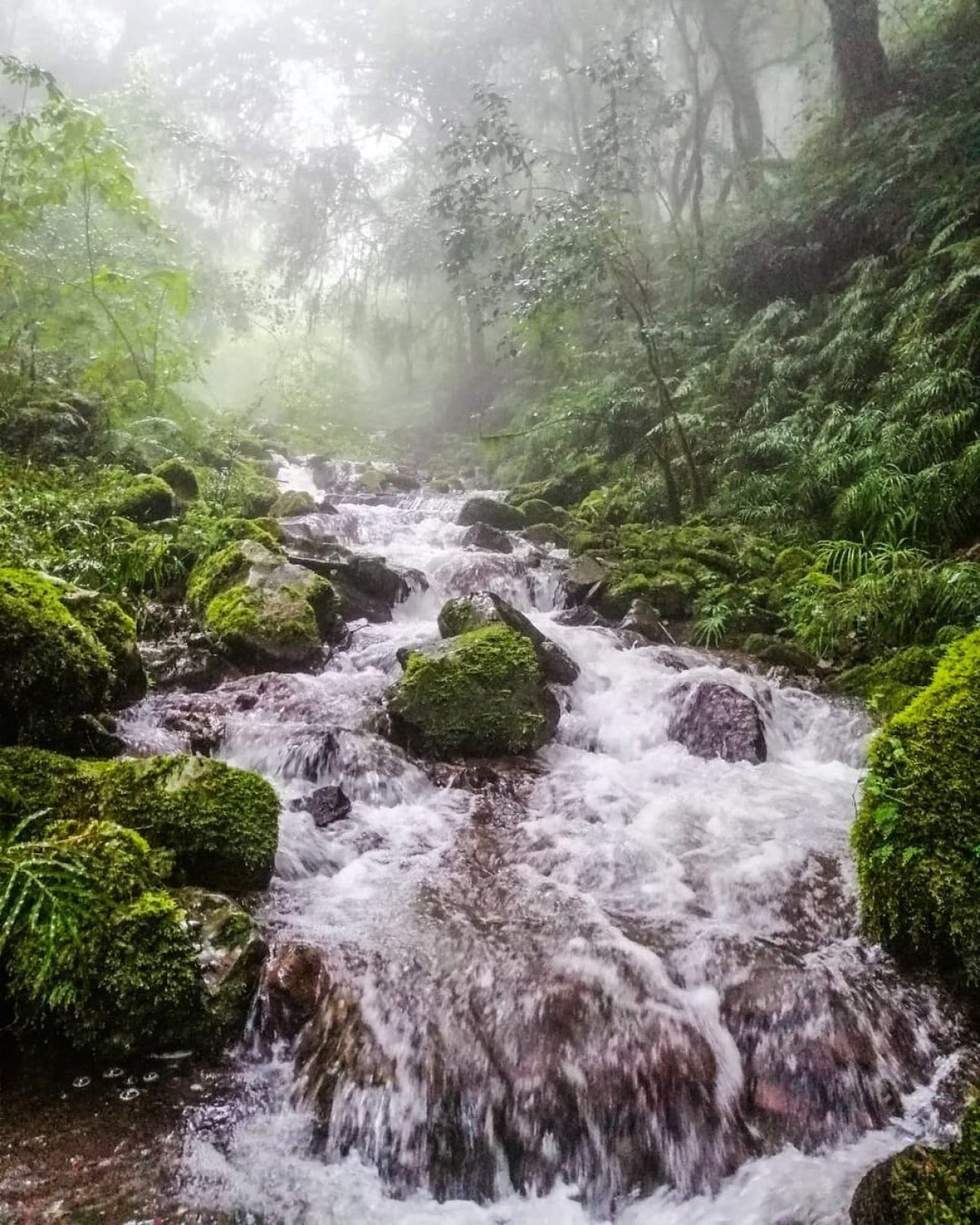 Quebrada de San Lorenzo. Foto Instagram.