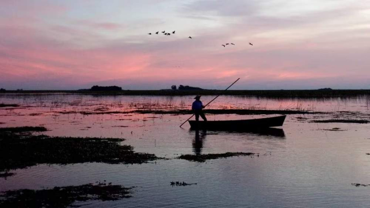 Los Esteros del Iberá en Corrientes. Foto: X