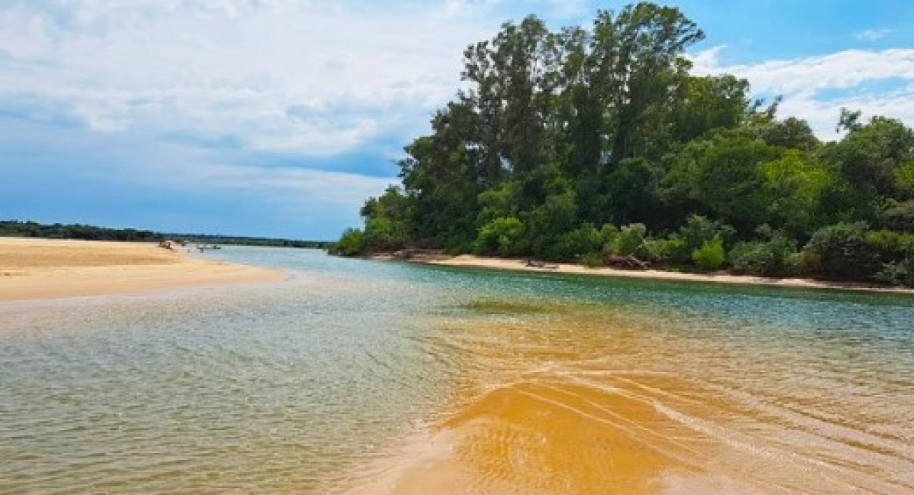 Isla San Francisco en el Rio Uruguay. Foto: NA