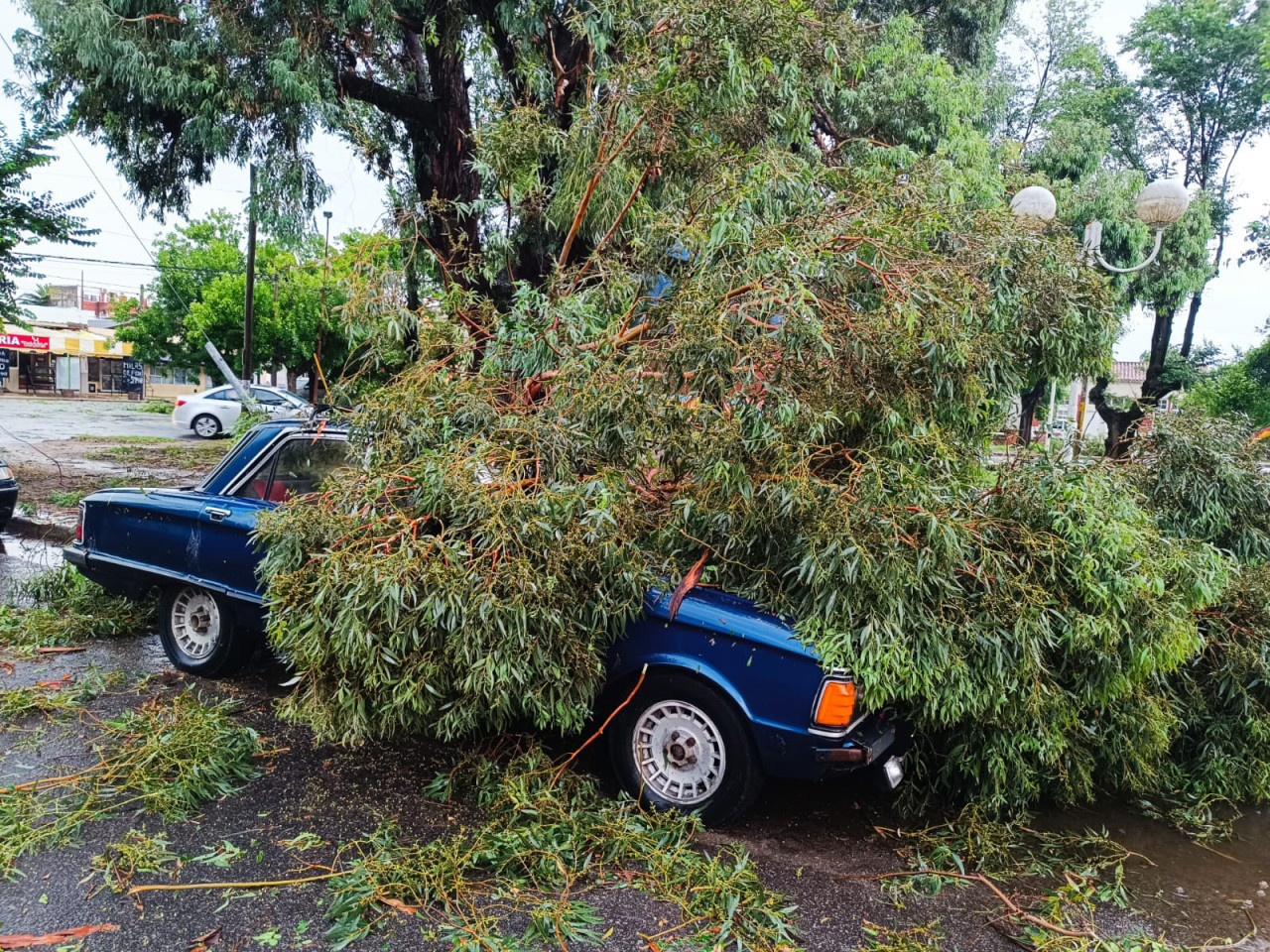 Temporal de viento y granizo en Miramar. Foto: NA.