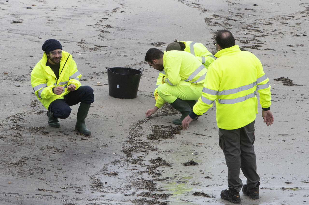 Las playas de Tarragona reciben el rastro de pellets de los gigantes del plástico. Foto EFE