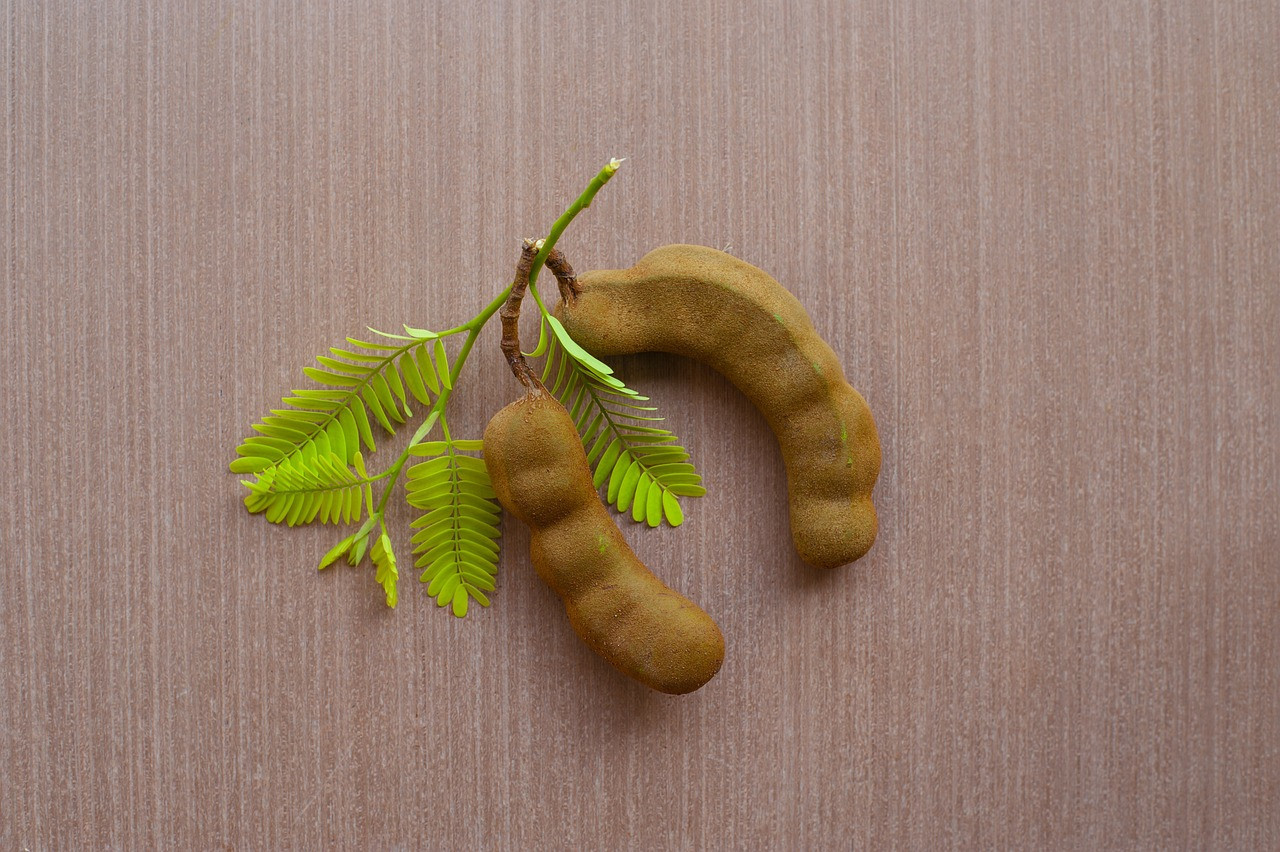 Tamarindo, fruta. Foto Unsplash.