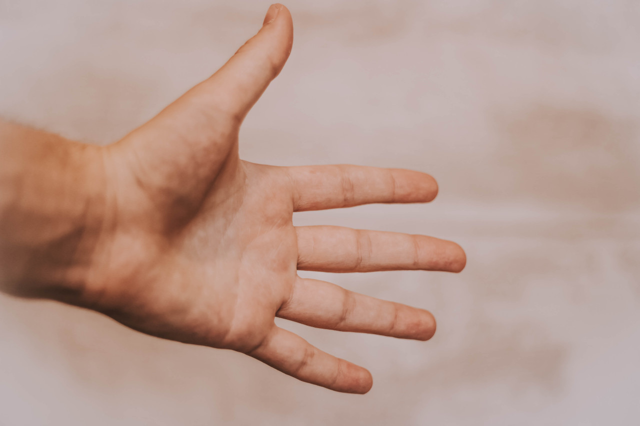 Los dedos de la mano. Foto: Unsplash