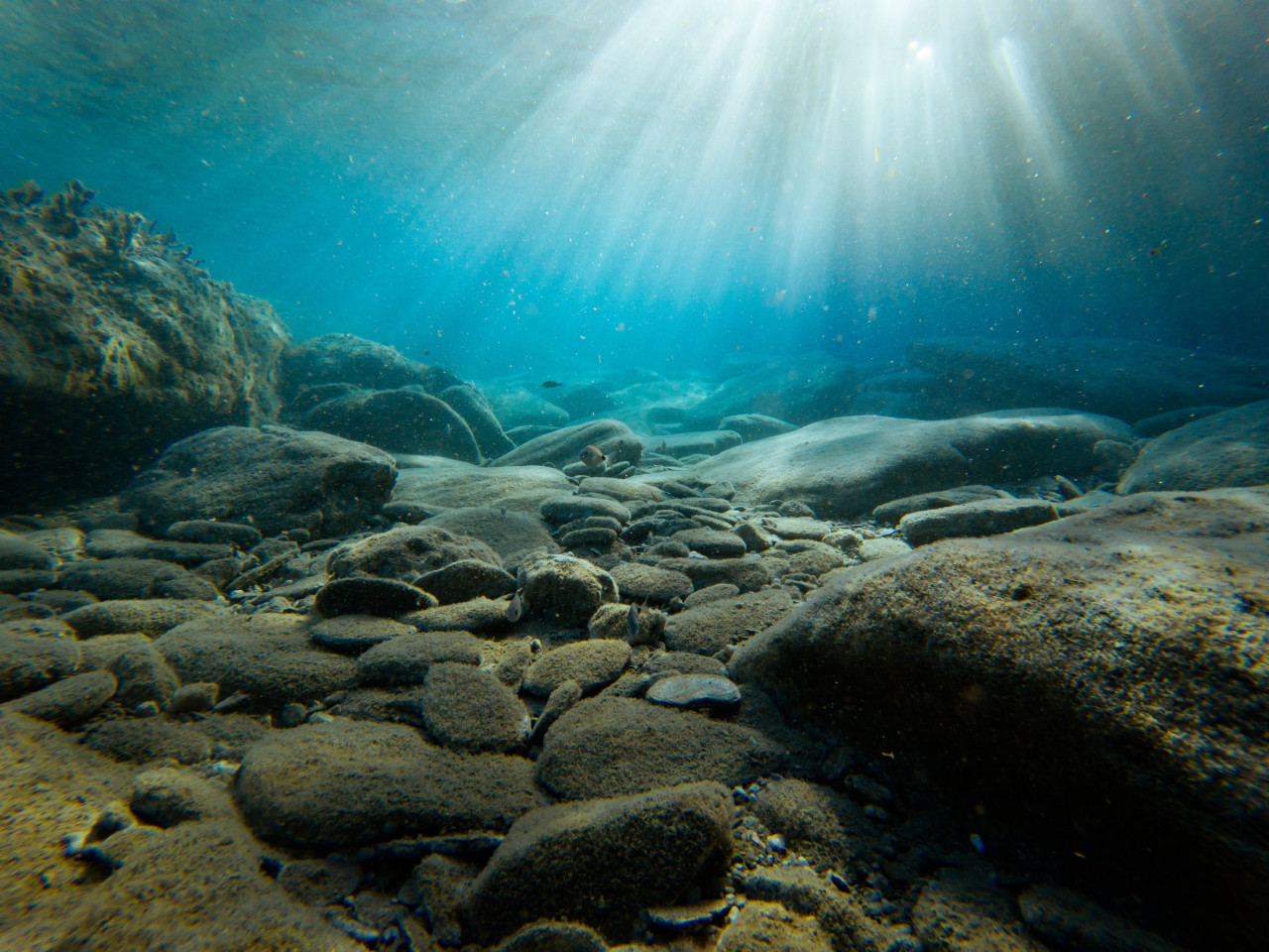 Fondo marino. Foto: Unsplash