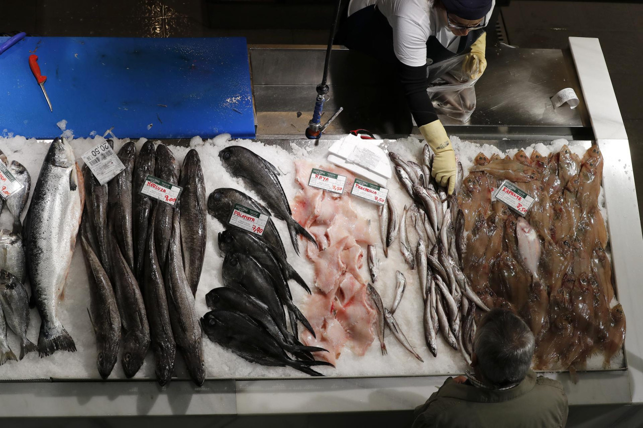 Pescados, pescadería. Foto EFE.