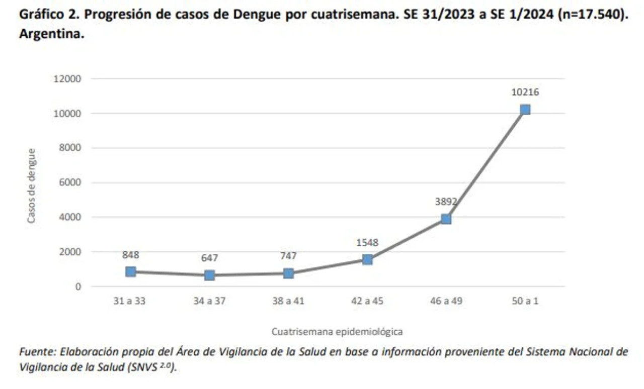 Gráfico sobre casos de dengue. Foto: NA.