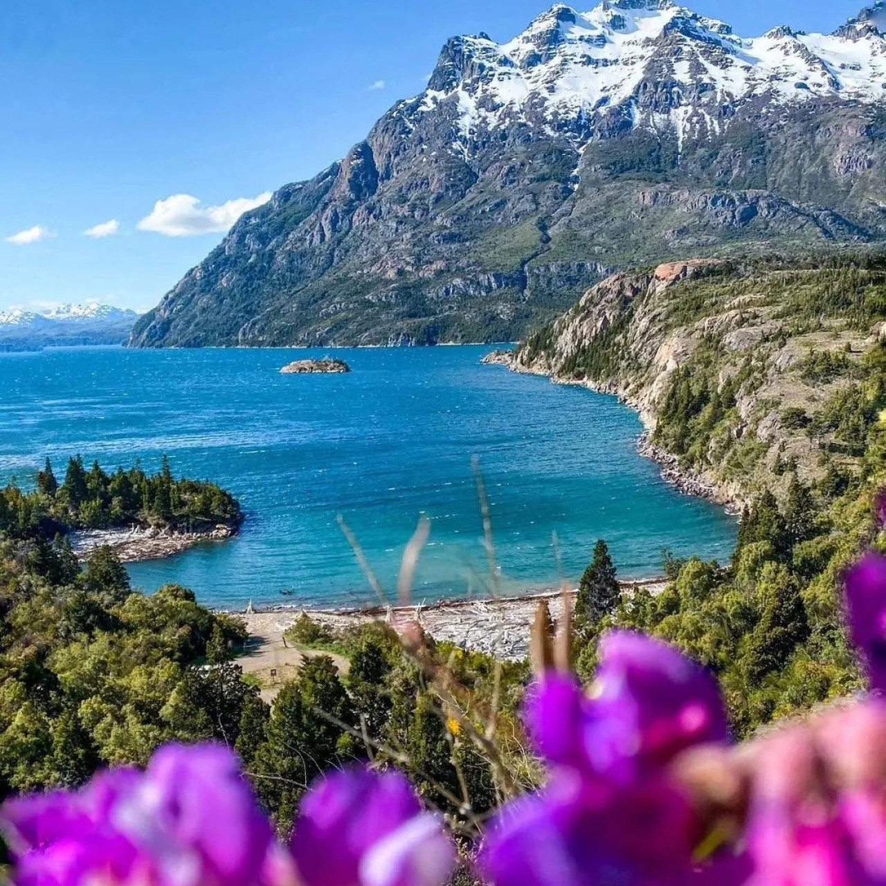 Parque Nacional Los Alerces. Foto: Instagram.