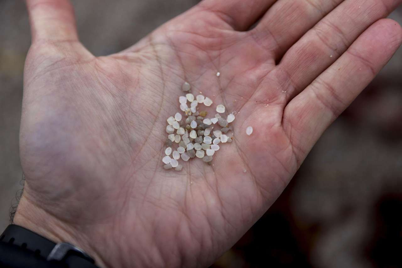 Pellets. Foto: EFE