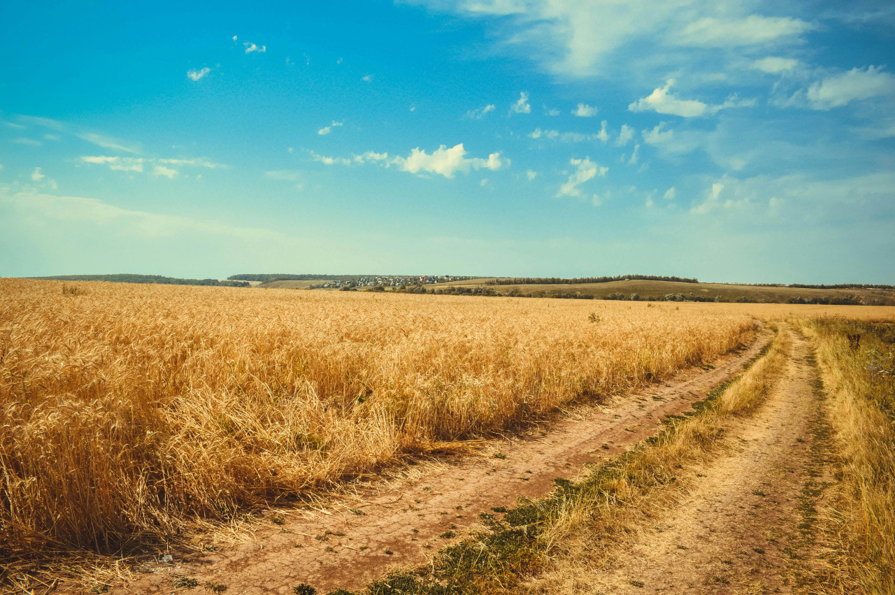 Campo, pueblo. Foto: Pexels