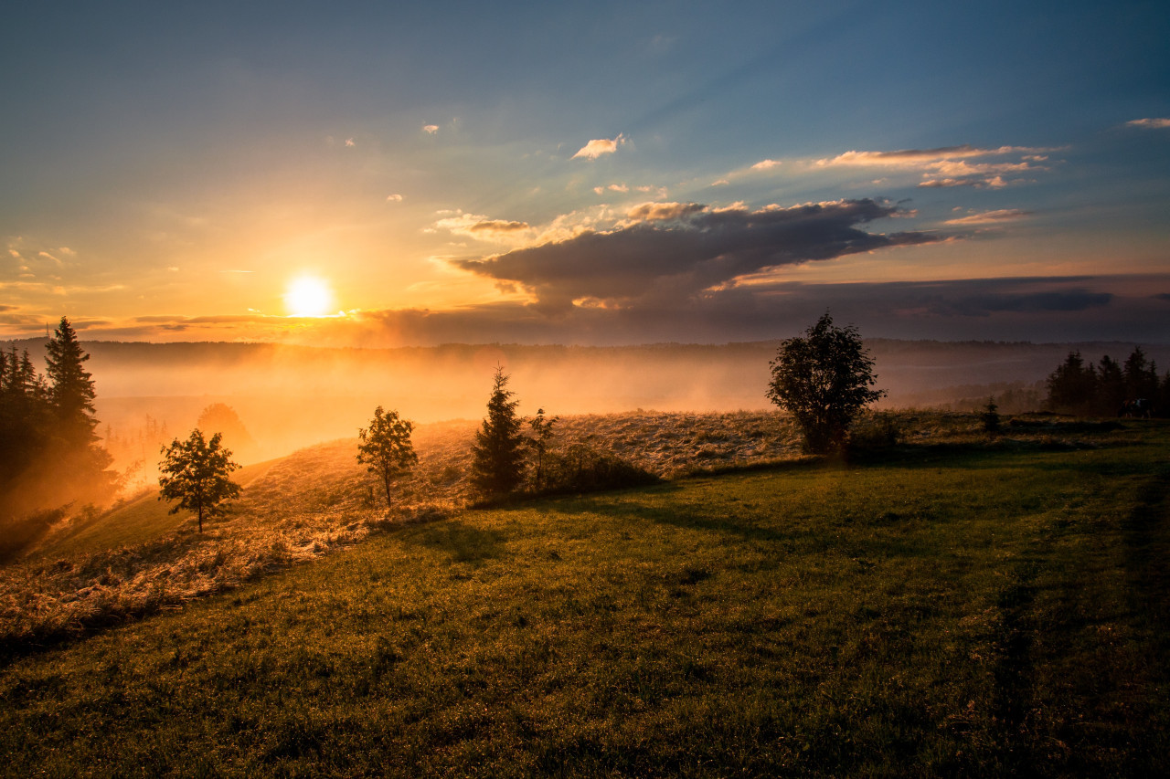 Sol, calor. Foto Unsplash.