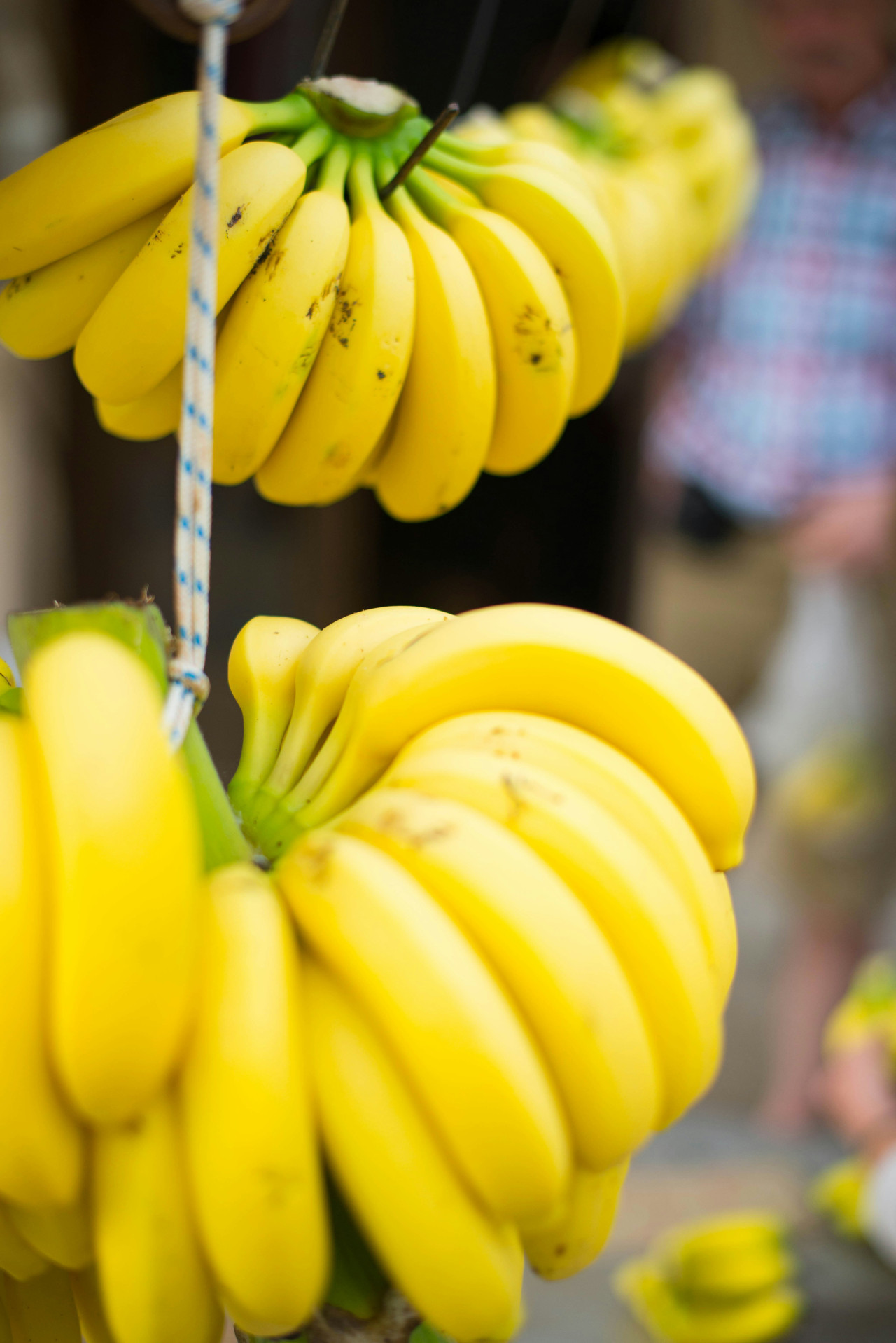 Bananas. Foto: Unsplash.