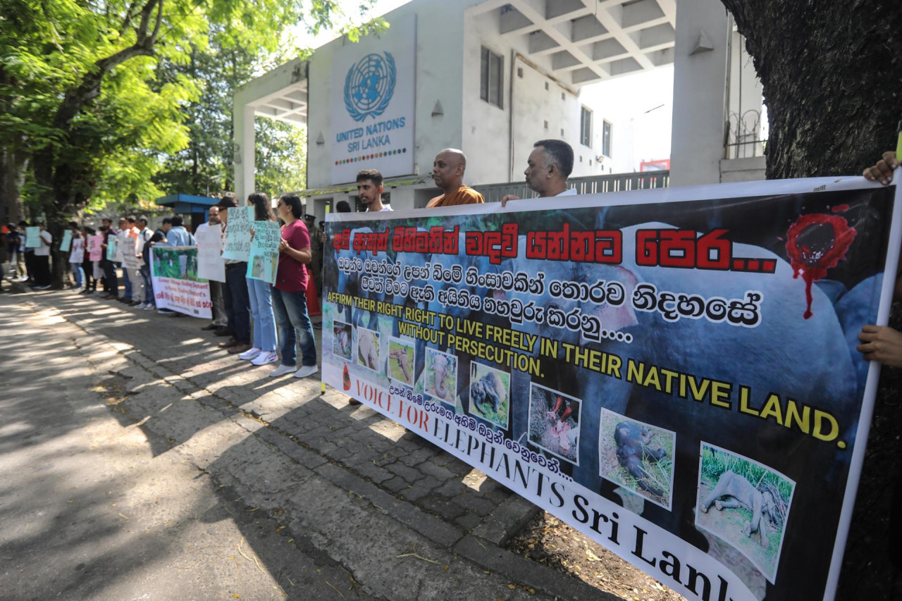 Protesta en Sri Lanka para proteger a los elefantes. Foto: EFE.