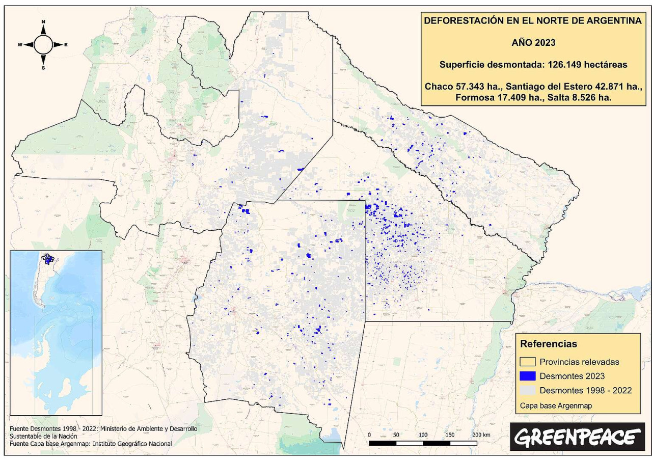 Deforestación en el norte de Argentina. Foto: Gentileza Greenpeace.