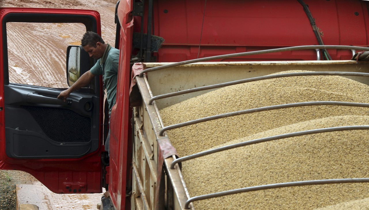 Cultivos de soja. Foto: Reuters.