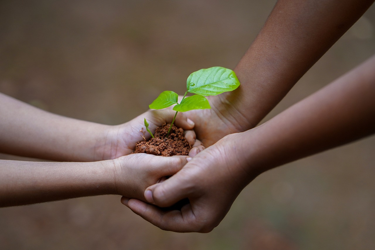 Medio ambiente. Foto: Pixabay.