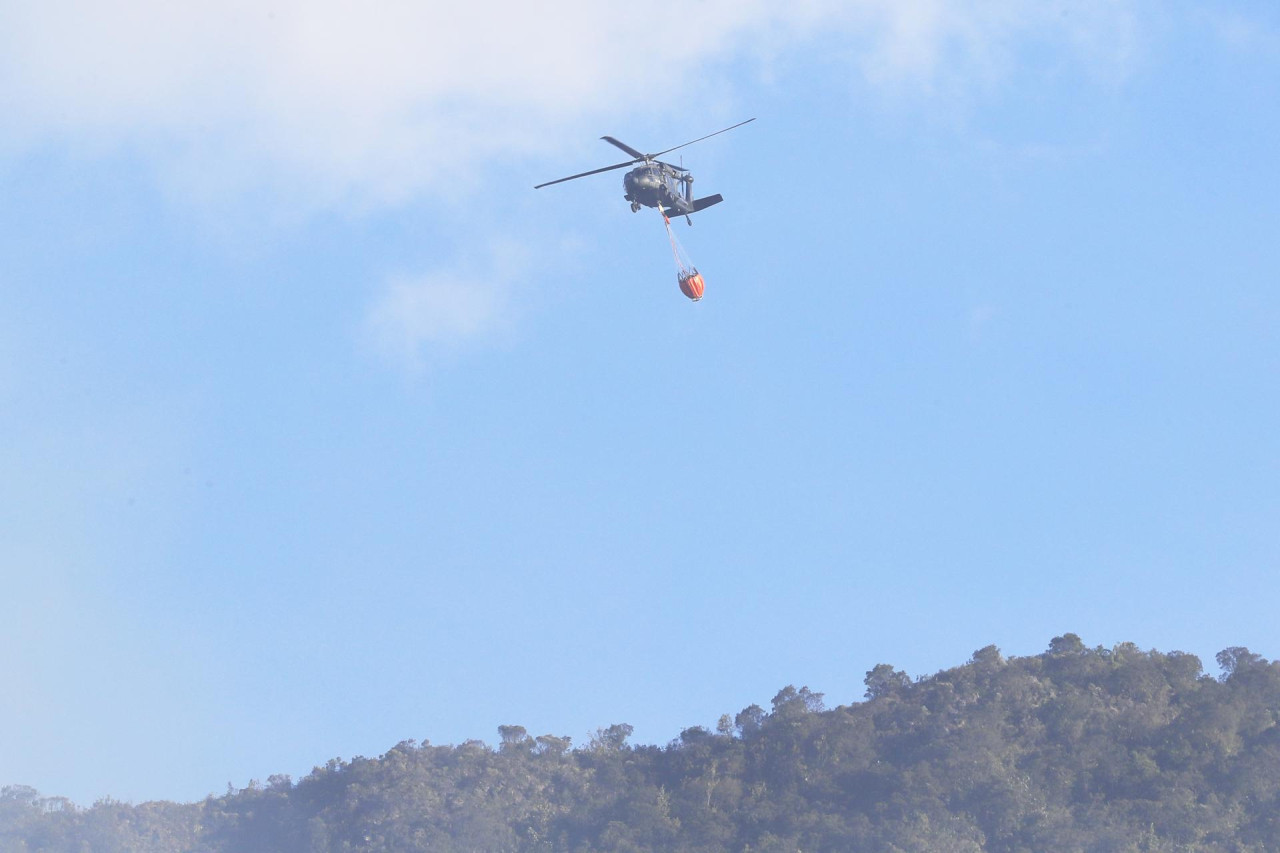 Incendios forestales en Colombia. Foto: EFE