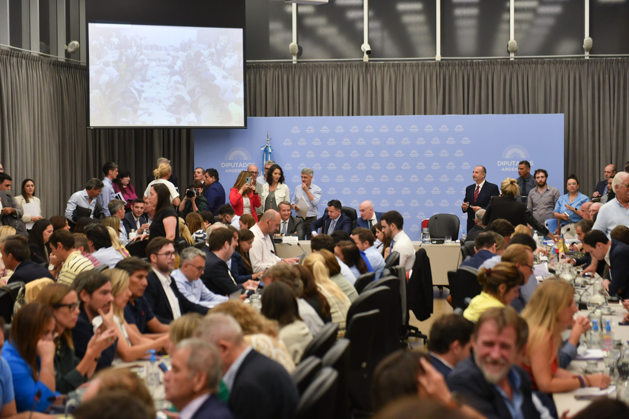 El oficialismo logró el dictamen de mayoría y se debatirá la Ley Ómnibus en la Cámara de Diputados. Foto: NA.