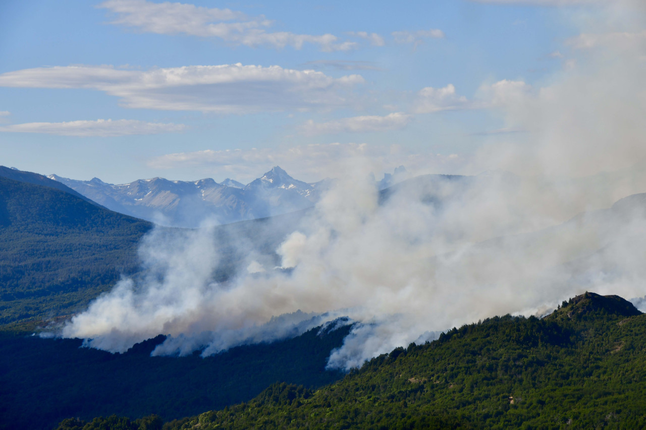 Incendio en el Parque Nacional Los Alerces. Foto: Télam.