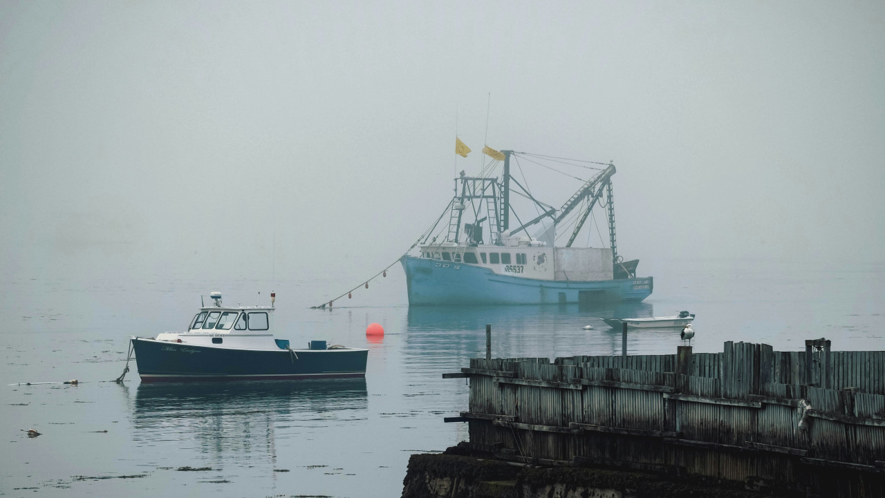 Pesca de arrastre. Foto: Unsplash