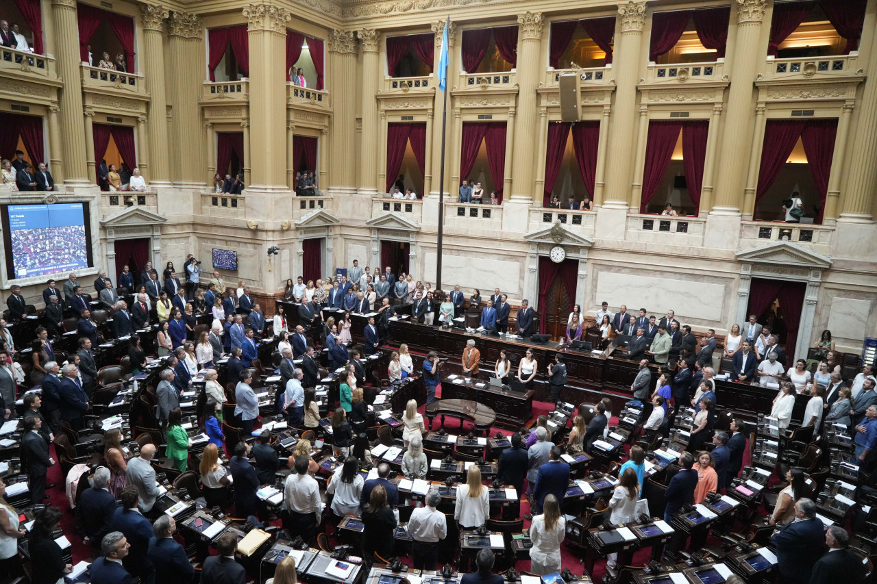 Debate de la Ley Ómnibus en Diputados. Foto: NA.