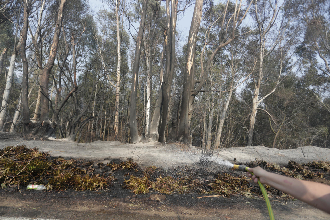 Incendios forestales en Chile. Foto: EFE