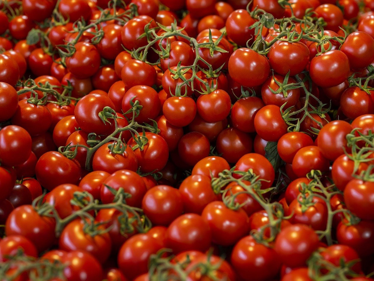 Tomates. Foto: Pixabay