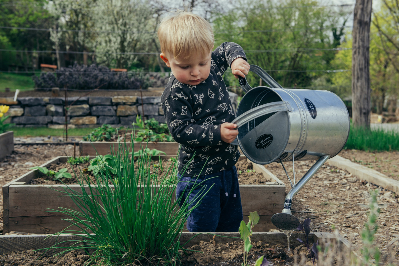 Verduras; niños. Foto: Unsplash