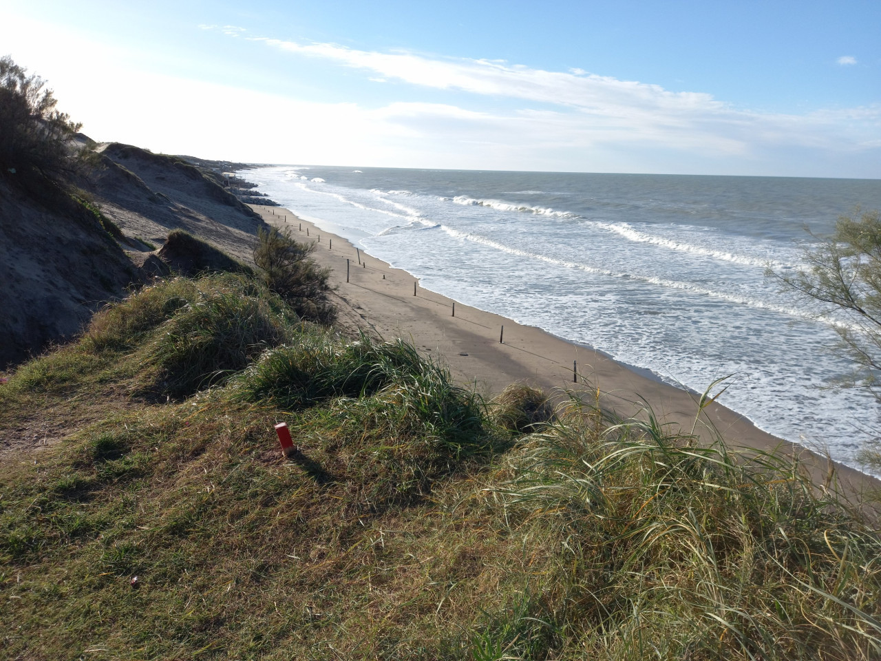 Playa Verde Mundo, Mar del Plata. Foto: X