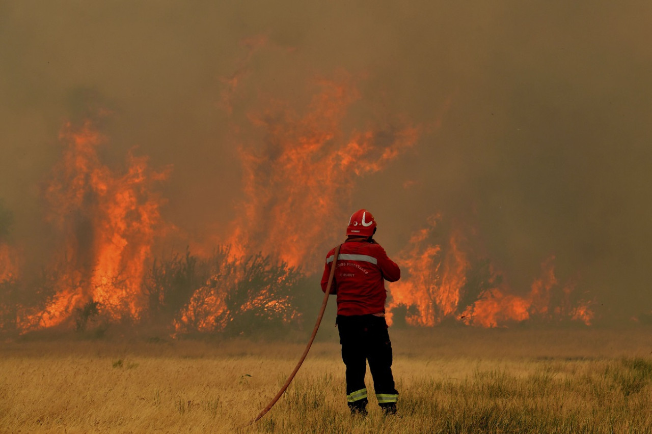 Incendio en el Parque Nacional Los Alerces. Foto: Télam.