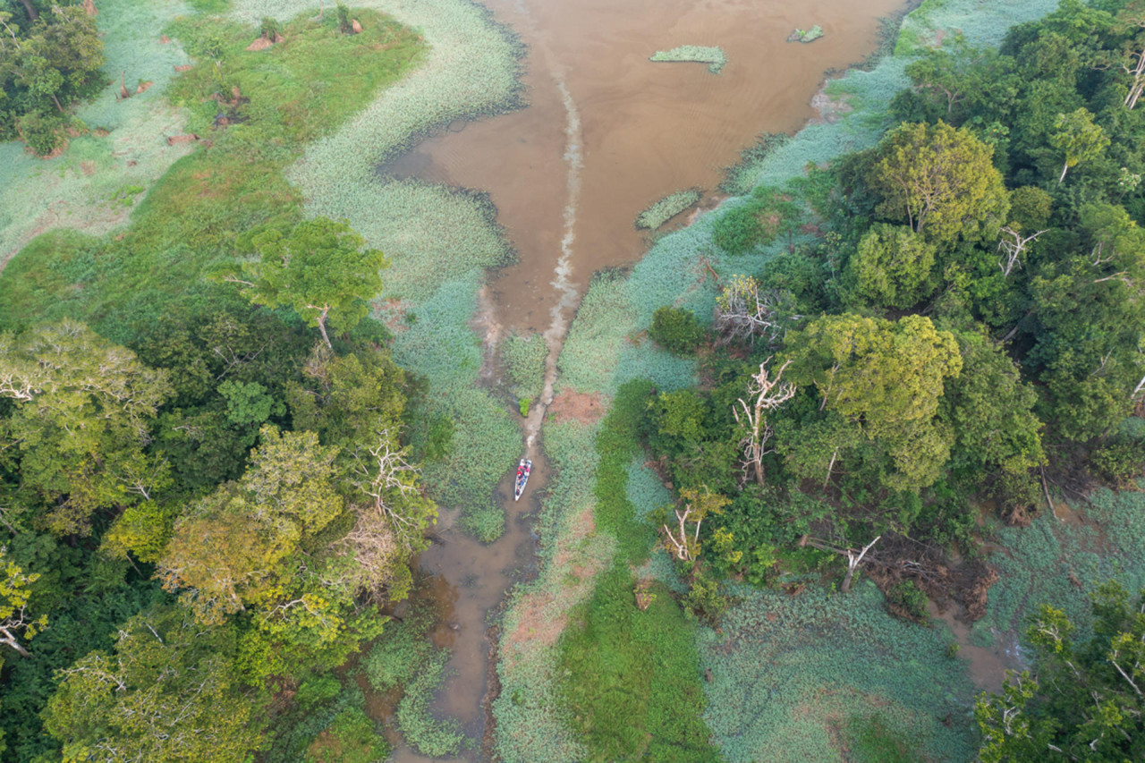 La mitad de la Amazonía puede desaparecer en 2050 y alterar el clima de toda la Tierra. Foto EFE.