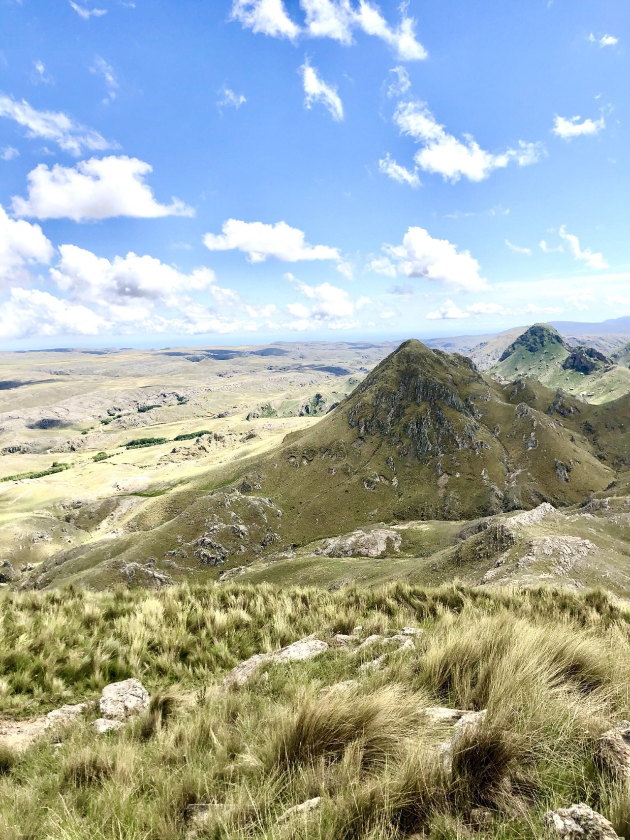 La Carolina, San Luis. Foto X.