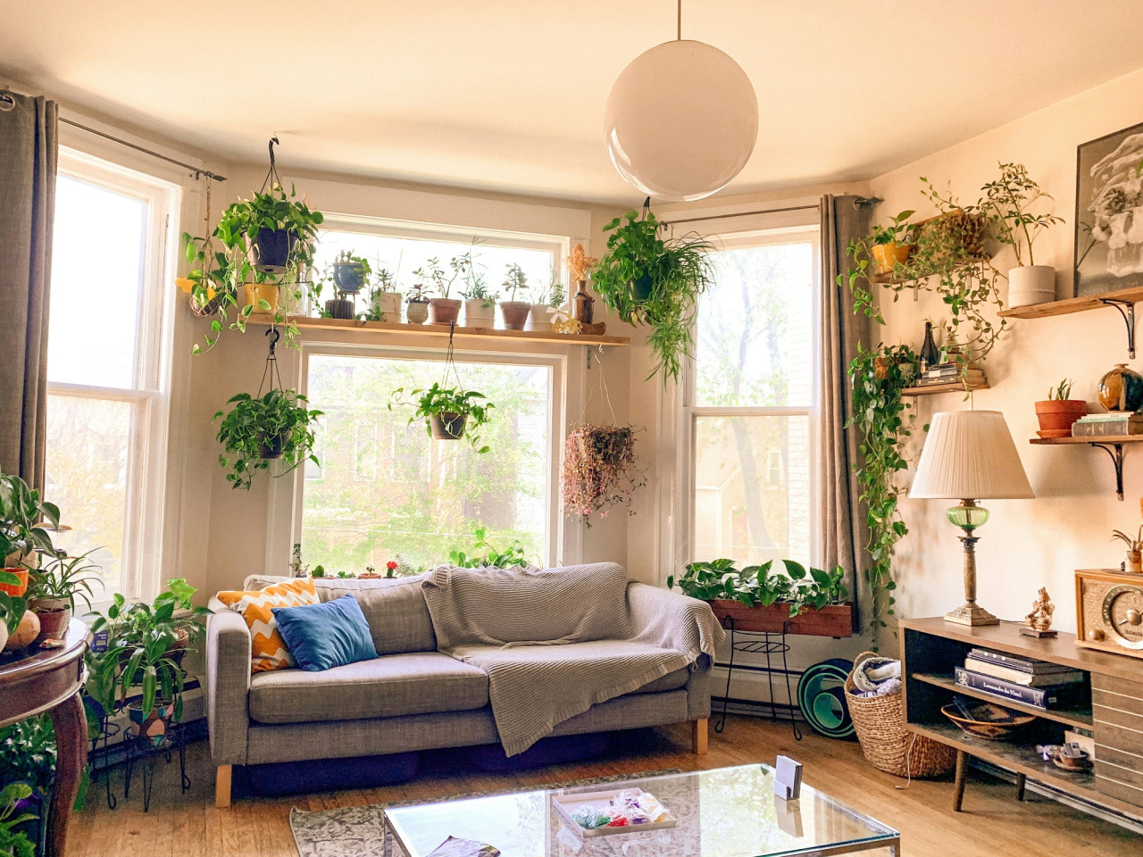 Plantas, hogar, casa. Foto Unsplash.