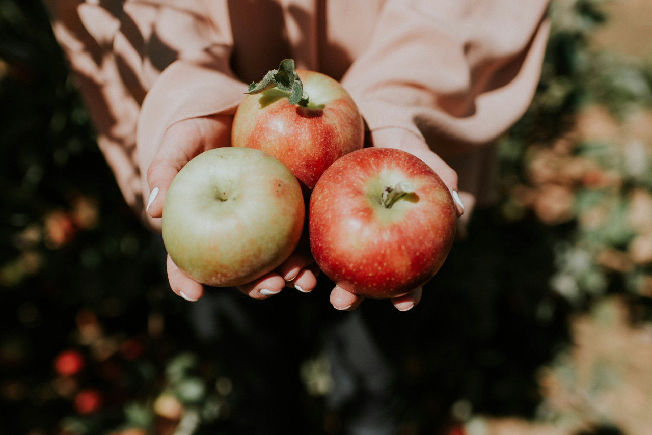 Manzana. Foto: Unsplash