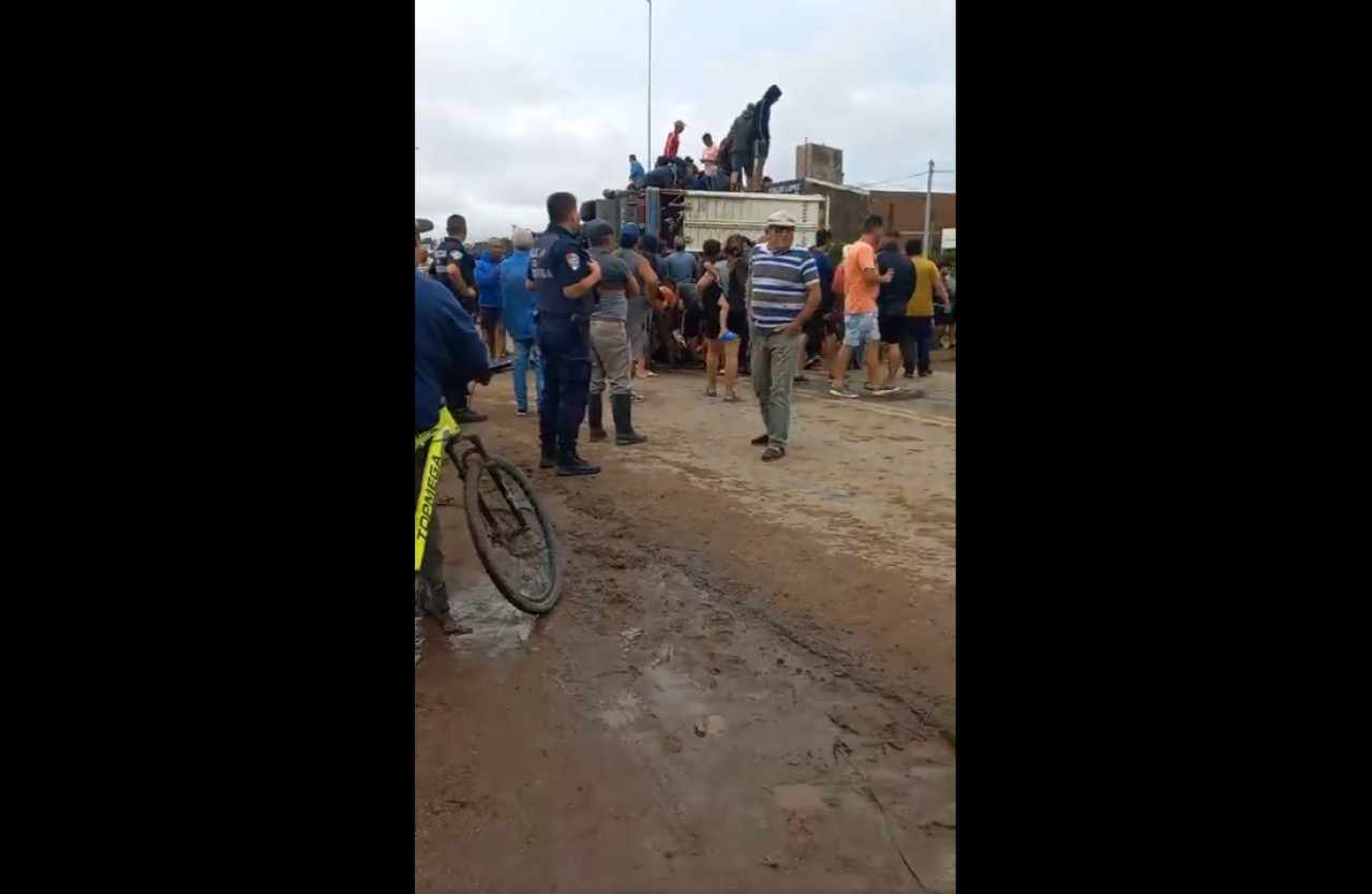 Vecinos faenaron las vacas que llevaba un camión que volcó. Foto: Captura.