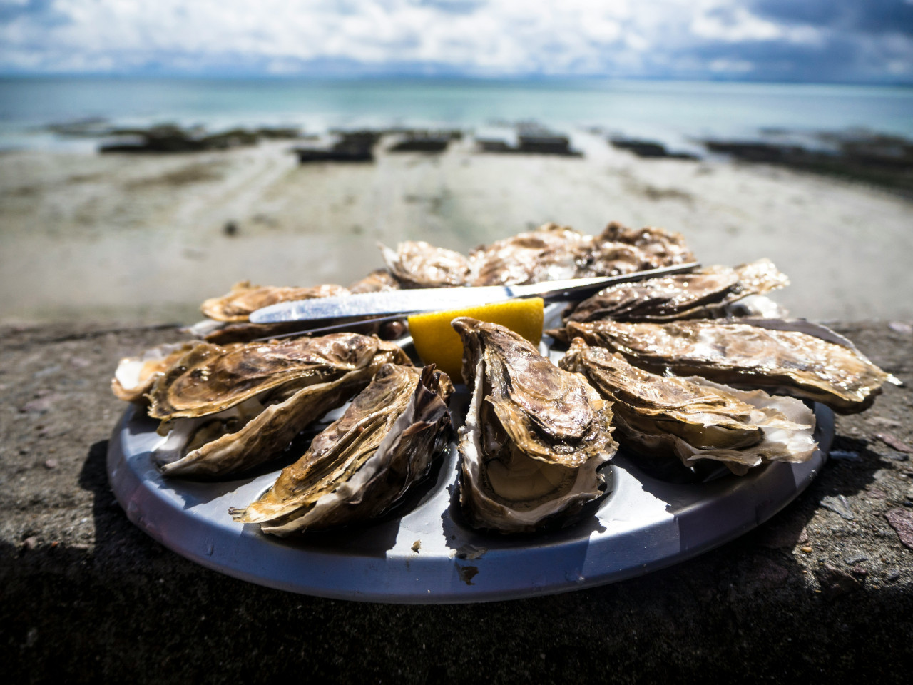 Ostras. Foto: Unsplash