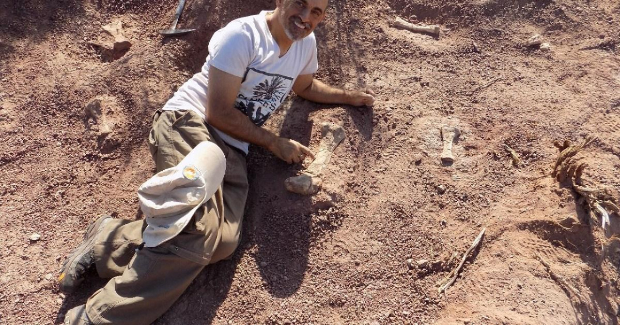 Descubren una "guardería" de dinosaurios en Neuquén. Foto: X/ @rionegrocomar