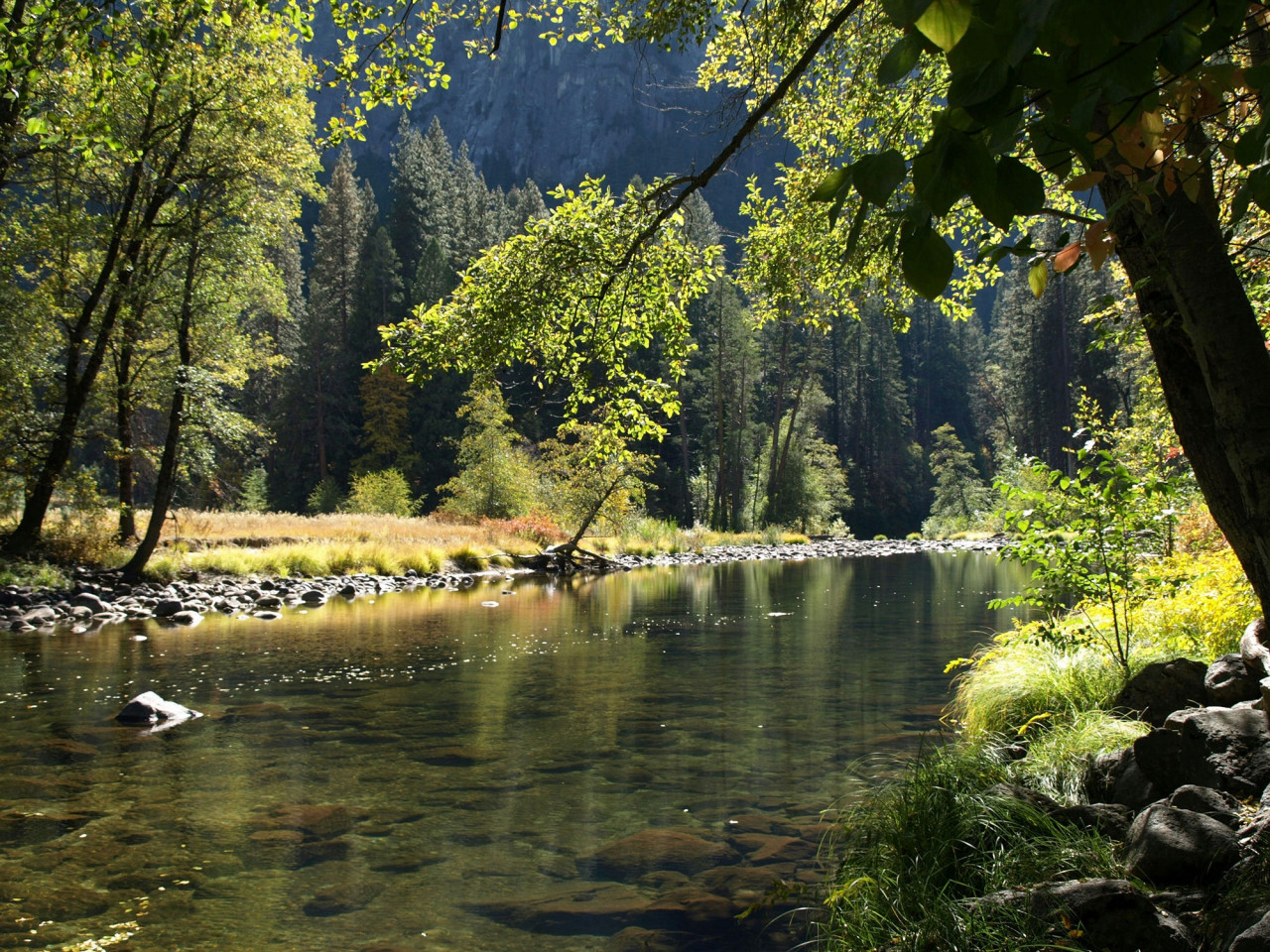 Río, ríos. Foto Unsplash.