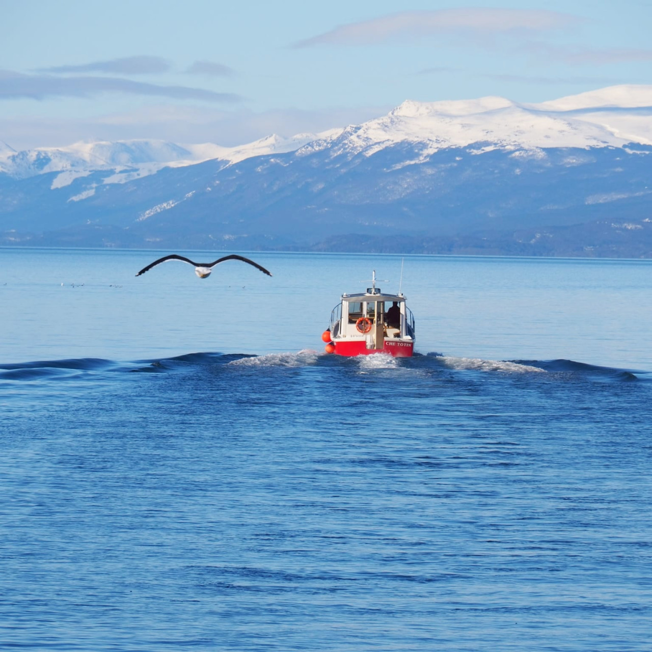 Canal Beagle, Ushuaia, Tierra del Fuego. Foto X.