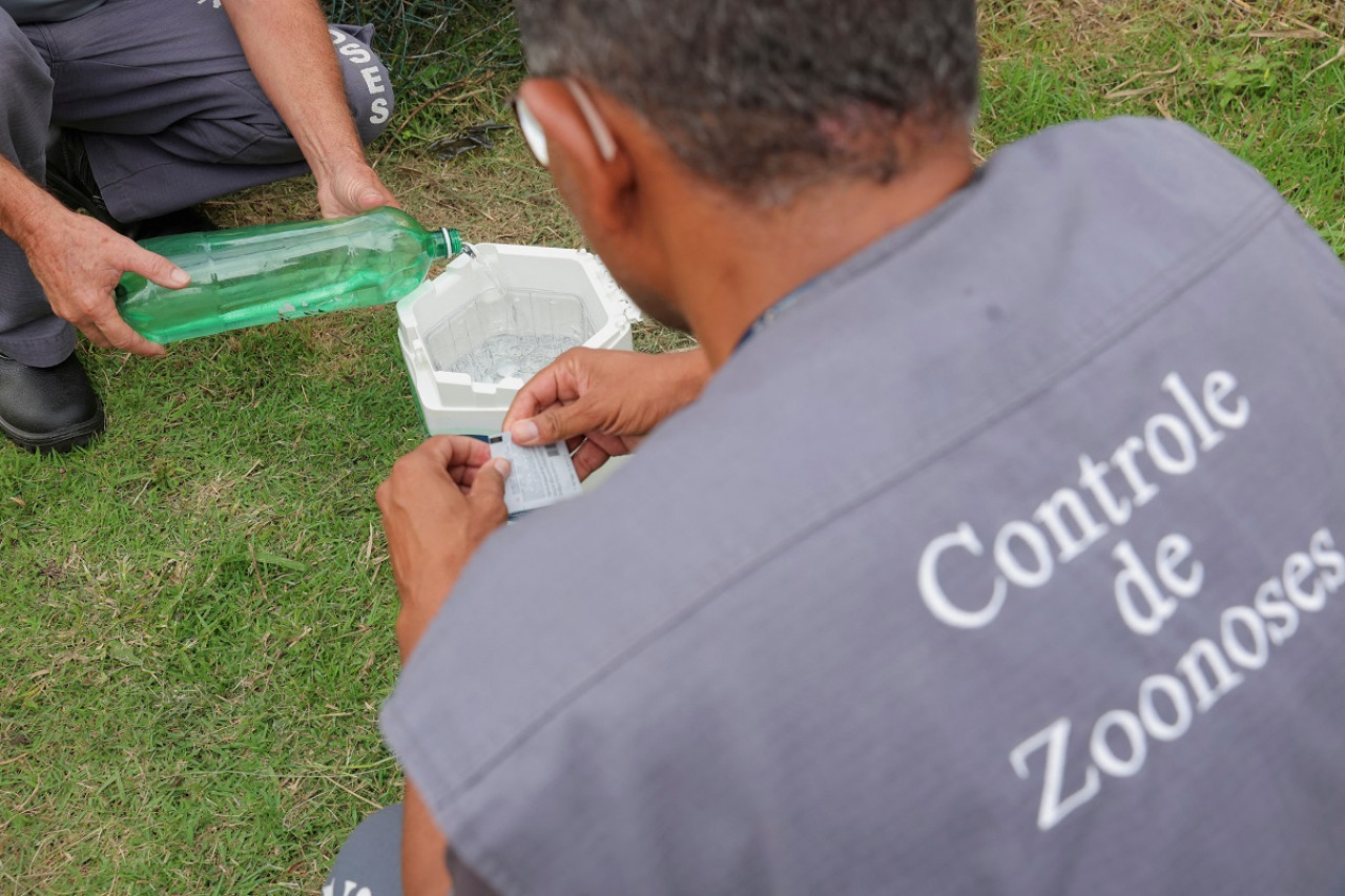 Prevención de dengue en zoológico de Brasil. Foto: Reuters.