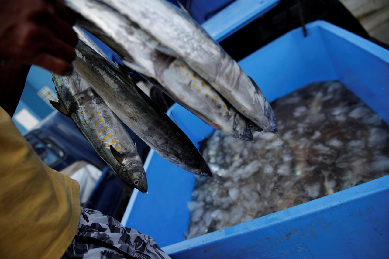 Pesca. Foto: EFE