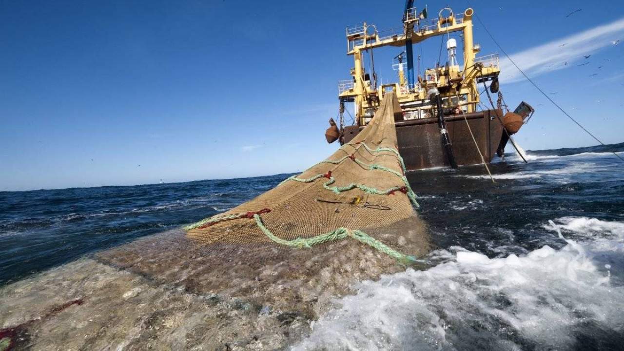 Pesca en el Atlántico Sur. Foto: defensa.com