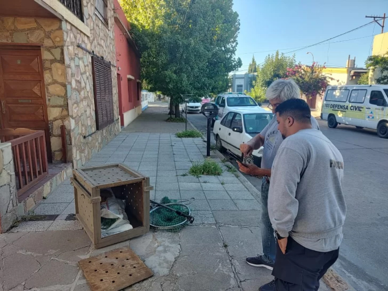 Operativo de rescate del puma. Foto: Policía de Necochea.