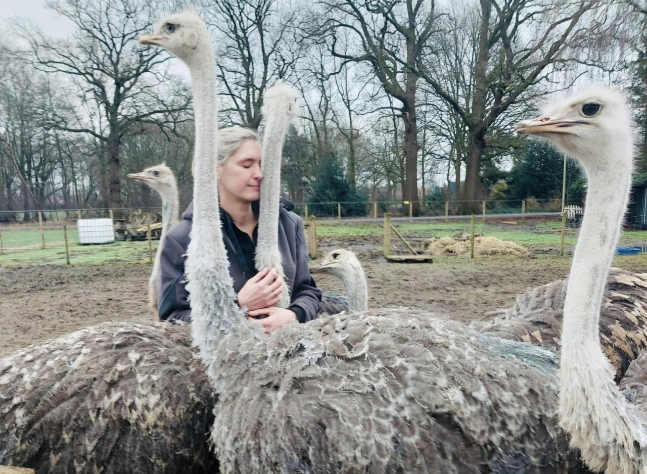 Wendy Adriaens, fundadora de De Passiehoeve . Foto: Facebook/ De Passiehoeve