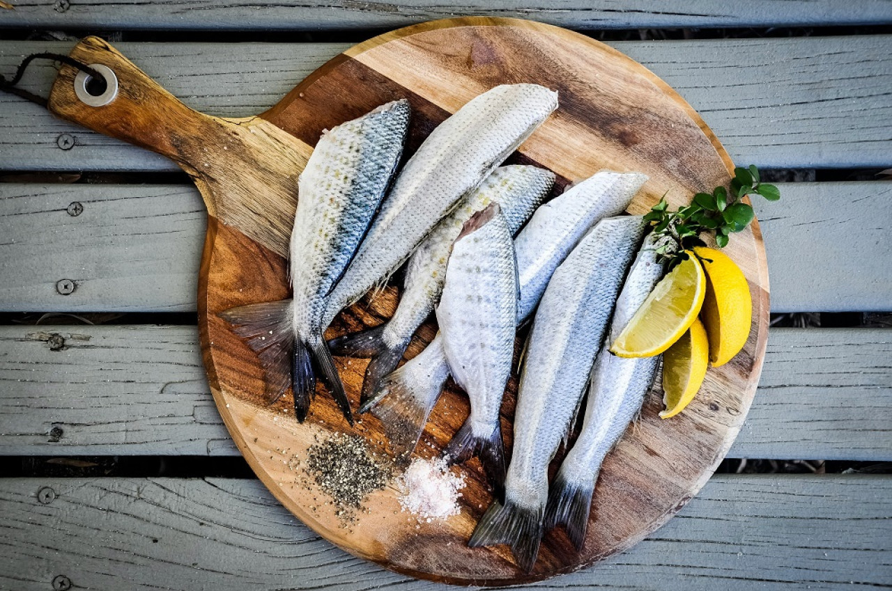 Pescado. Foto: Unsplash.