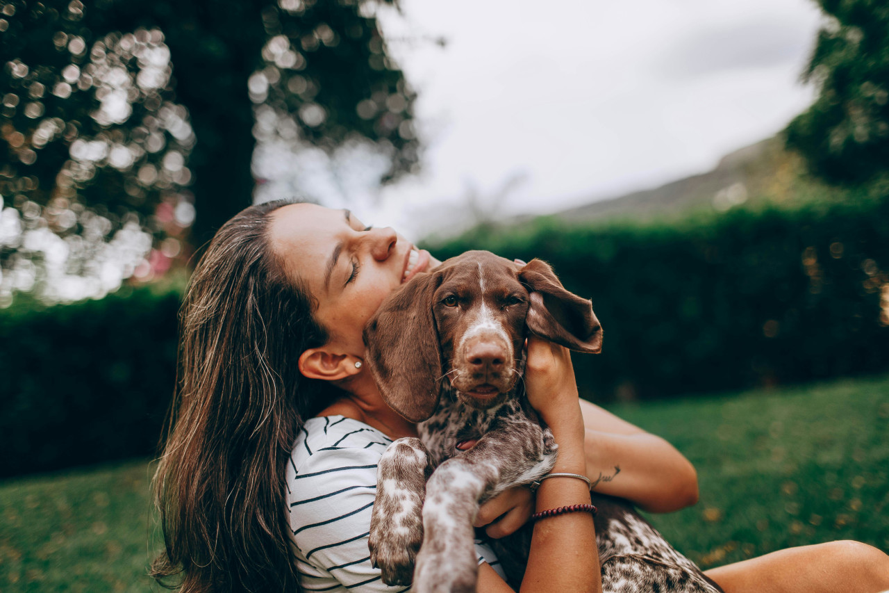 Perros, mascotas, dueños. Foto: Unsplash