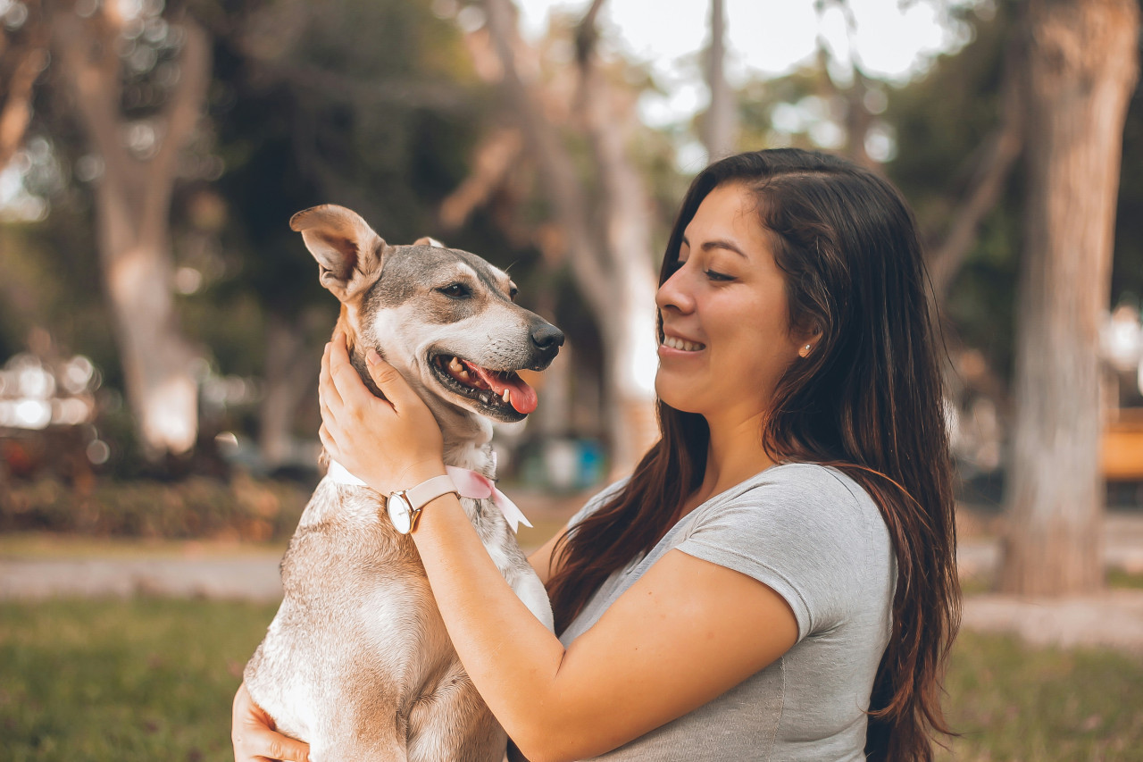 Perros, mascotas, dueños. Foto: Unsplash