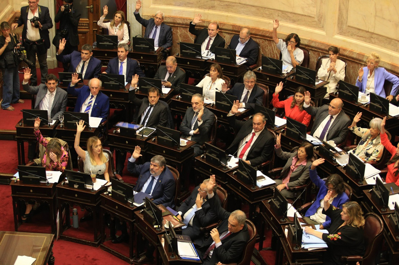 Senado de la Nación. Foto: NA.